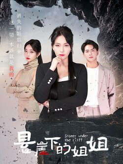 悬崖下的姐姐海报