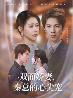 双面娇妻，秦总的心尖宠海报