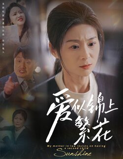 爱似锦上繁花海报