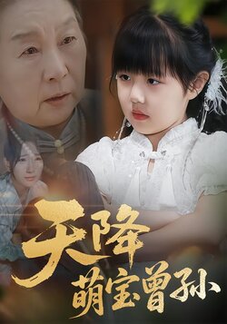 天降萌宝曾孙海报