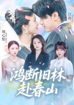 鸿断旧林赴春山海报