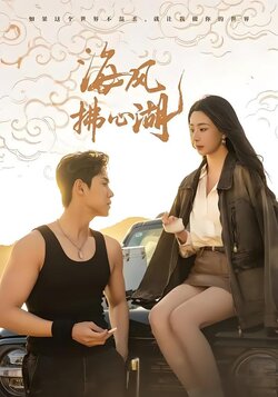 海风拂心湖海报