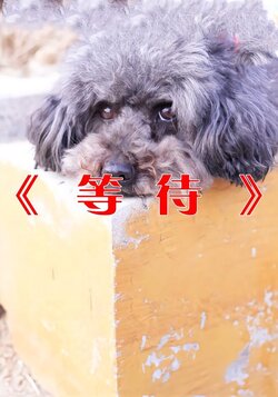 等待海报