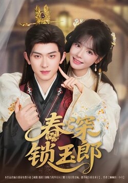春深锁玉郎海报