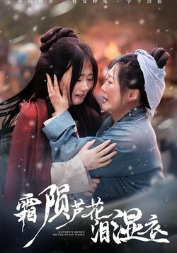 霜陨芦花泪湿衣海报