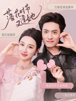 落花时节又逢她海报