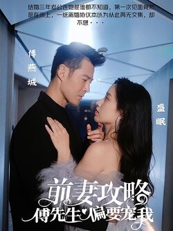 前妻攻略：傅先生偏要宠我海报