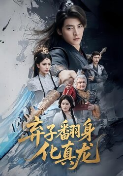 弃子翻身化真龙海报
