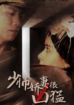 少帅娇妻很凶猛