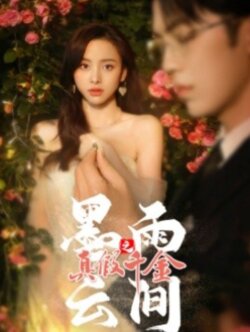 墨雨云间之真假千金