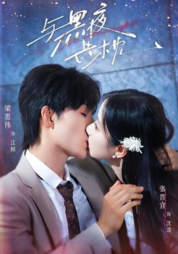 与黑夜共枕海报