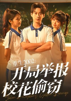 重生2002：开局举报校花偷窃海报