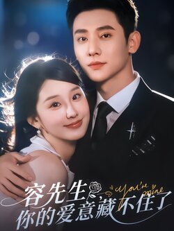 容先生，你的爱意藏不住了海报