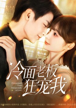 冷面老板狂宠我海报