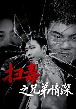 扫毒之兄弟情深