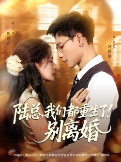 陆总，我们都重生了！别离婚海报