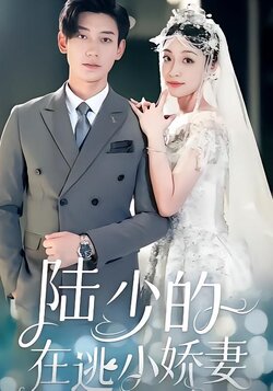 陆少的在逃小娇妻海报