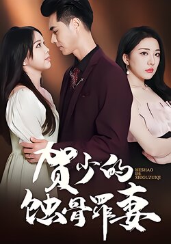 贺少的蚀骨罪妻