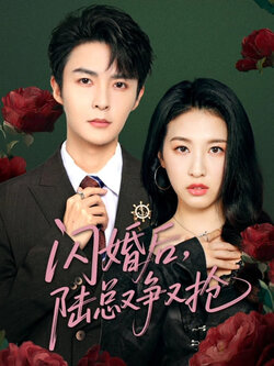 闪婚后陆总又争又抢