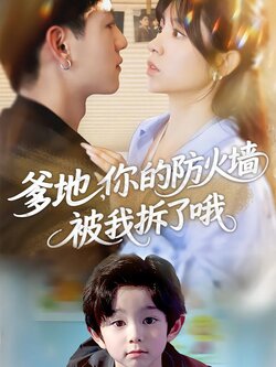 爹地，你的防火墙被我拆了哦海报