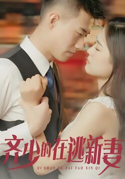 齐少的在逃新妻