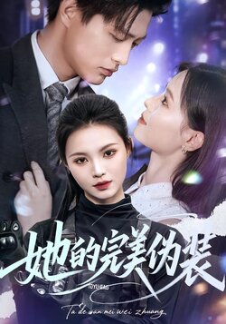 她的完美伪装海报