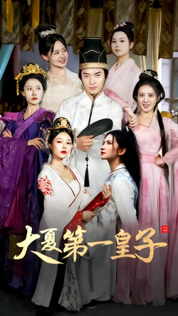 大夏第一皇子海报