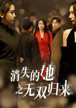 消失的她之无双归来