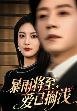 暴雨将至，爱已搁浅海报