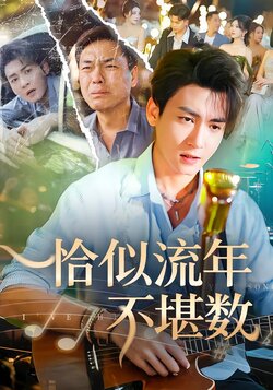 恰似流年不堪数