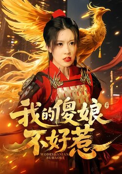 我的傻娘不好惹海报