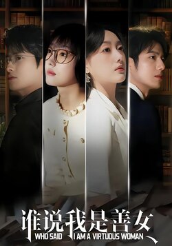 谁说我是善女海报