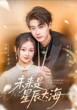 未来是星辰大海海报