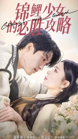 锦鲤少女的必胜攻略海报