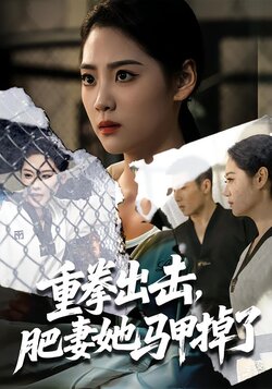 重拳出击，肥妻她马甲掉了海报