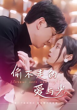 偷不走的爱与光海报