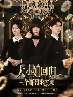 大小姐回归，三个哥哥求原谅海报