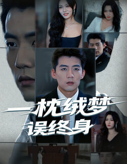 一枕绒梦误终身