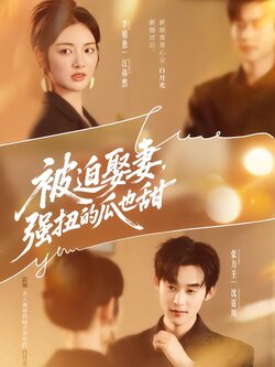 被迫娶妻，强扭的瓜也甜海报