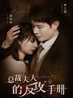 总裁夫人的反攻手册海报