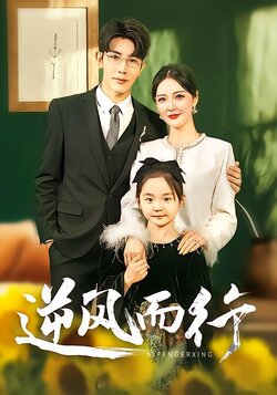 逆风而行海报