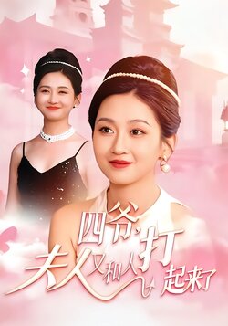 四爷，夫人又和人打起来了海报