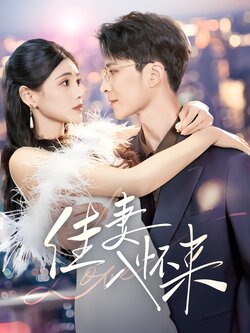 佳妻入怀来海报