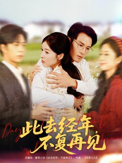此去经年，不复再见海报