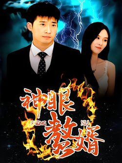 神眼赘婿