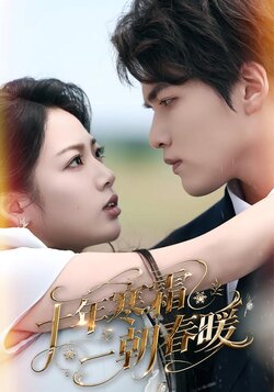 十年寒霜一朝春暖海报