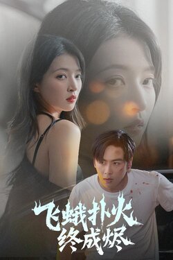 飞蛾扑火终成烬