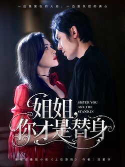 姐姐，你才是替身海报