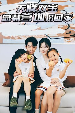 天降双宝，总裁爹地拐回家海报