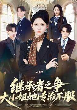 继承者之争，大小姐她专治不服海报